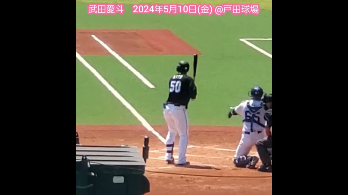 20240510　#愛斗　#打撃フォーム　#shorts　ﾊﾞｯﾃｨﾝｸﾞ打撃　#武田愛斗@ﾔｸﾙﾄ戸田球場［ｲｰｽﾀﾝ･ﾘｰｸﾞ 2軍戦］
