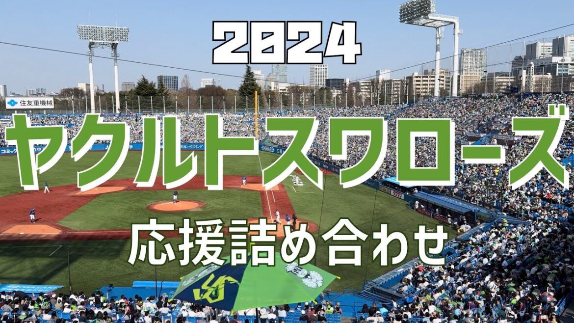 【作業/睡眠/聞き流し（応援歌詰め合わせ）】東京ヤクルトスワローズ（2024）