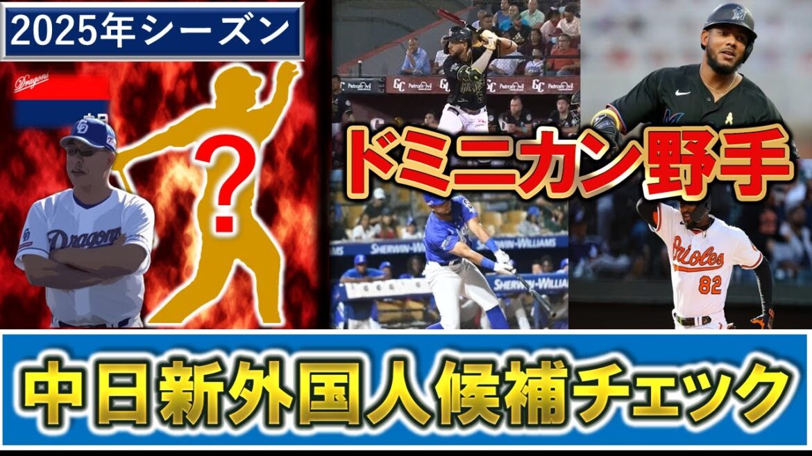 【中日新外国人候補チェック】来季の助っ人を探せ！中日が狙いたいドミニカの野手を数選手ピックアップ！この中から来日も！？【J.エンカーナシオン】【Ｒ.ヘルナンデス】【K.グティエレス】【L.リベラト】