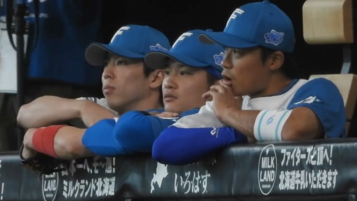 (師弟関係)中島卓也と奈良間大己が仲良く並んで試合観戦🦆🐥エスコンフィールド北海道日本ハムファイターズ