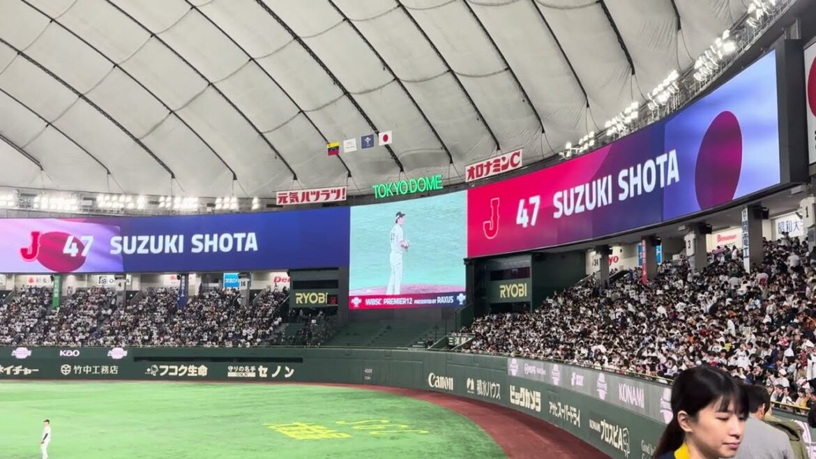 WBSC プレミア12 鈴木昭汰 投球練習  2024/11/22  日本 vs ベネズエラ