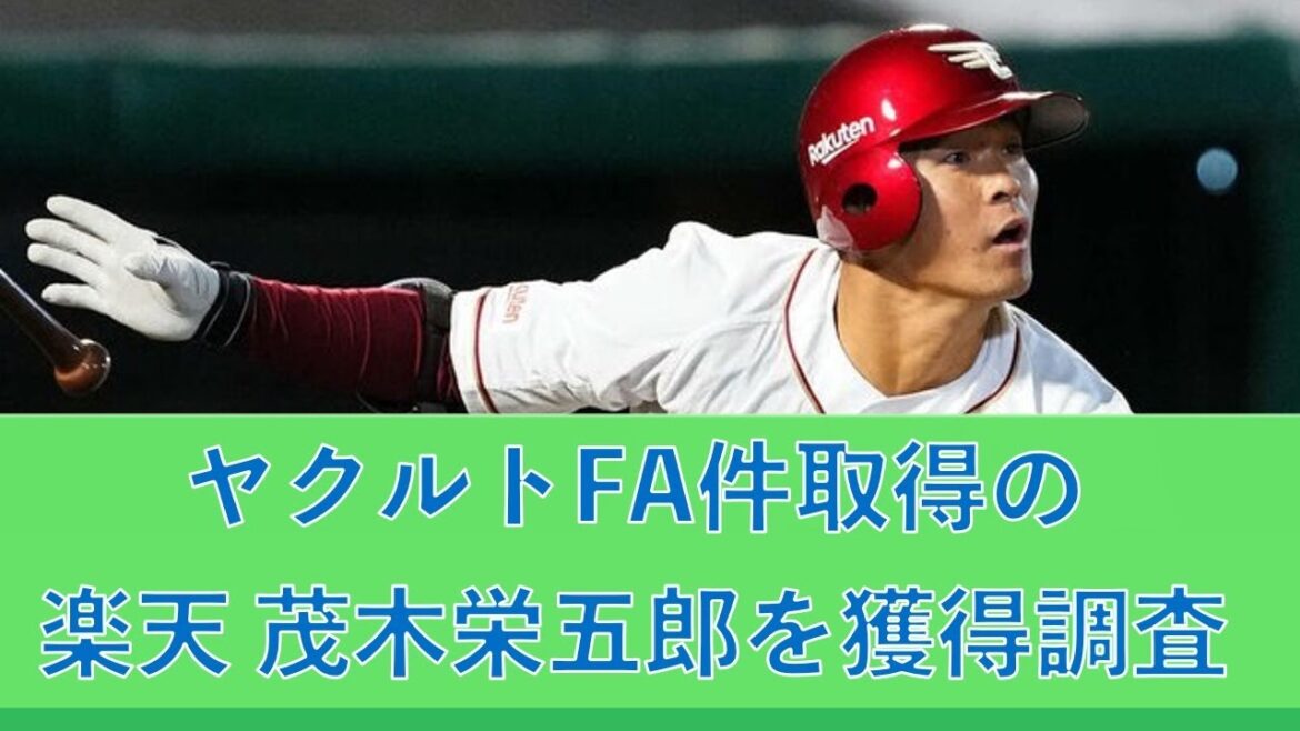 ヤクルトFA件取得の楽天 茂木栄五郎を獲得調査