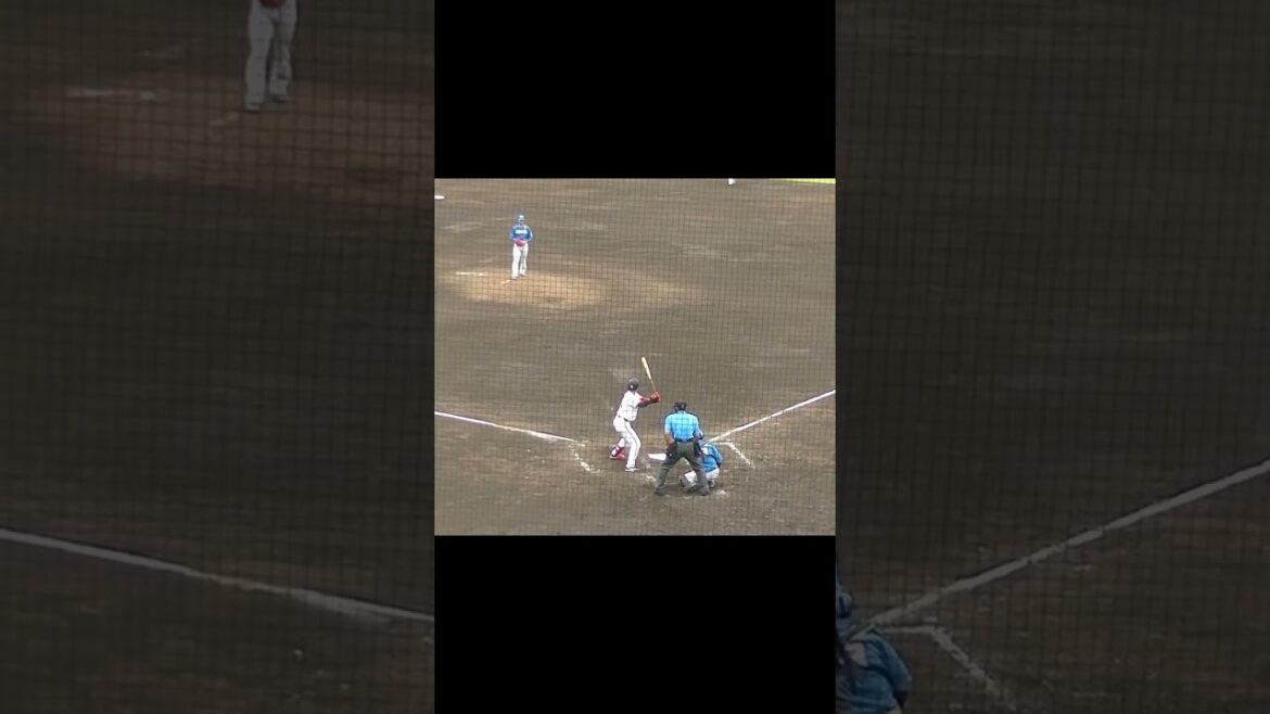 増田陸がヒット 上手く拾う（読売ジャイアンツ対 日本ハムファイターズ2024年6月9日）