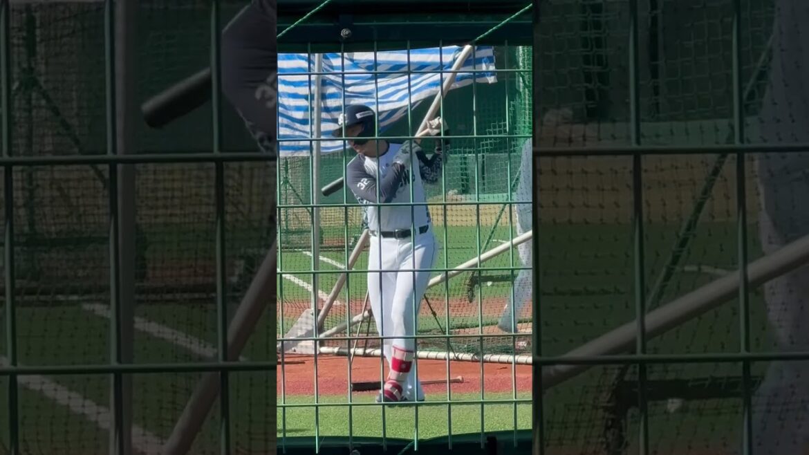 松本直樹選手ガンバレ！ヤクルトスワローズ秋季練習最終日