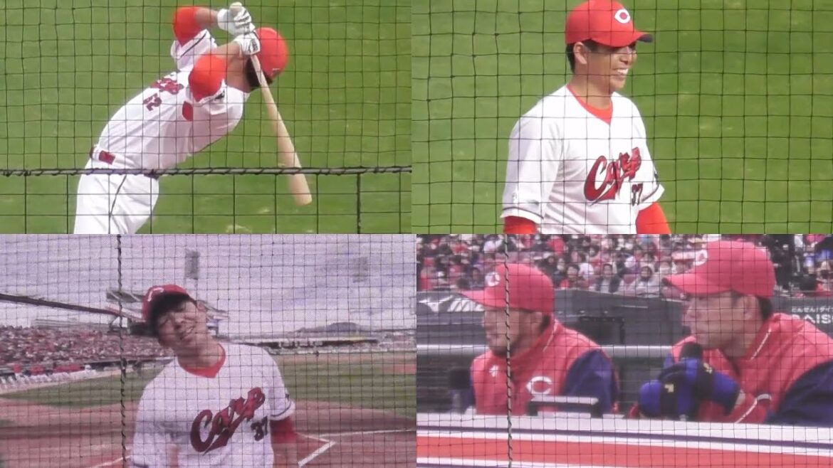 【バッティングコントロール対決】田村&中村奨成、ものまねを披露する末包昇大、全ての笑いを独り占め野間峻祥！広島カープファン感謝デー2024年11月23日