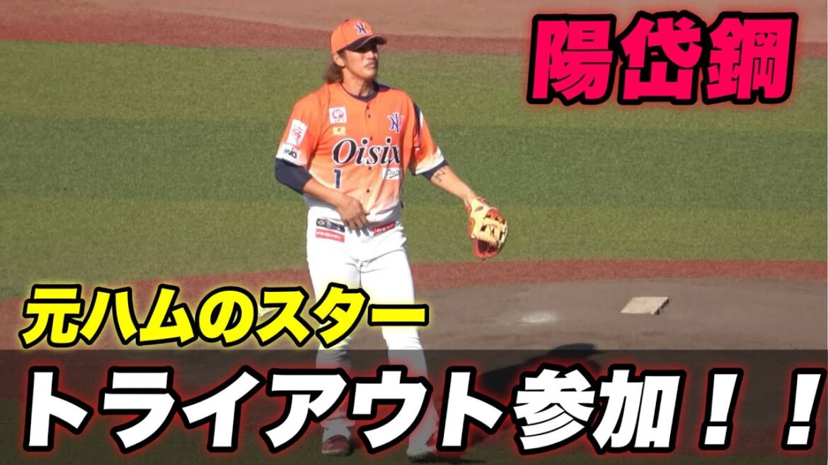 【いきなりレフトに大飛球と打撃力は健在か？1人だけオーラが違う陽岱鋼がトライアウトに参加！】