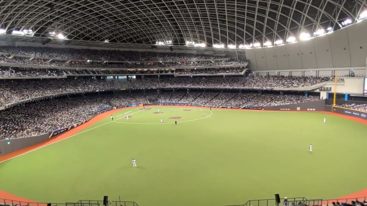 侍ジャパン桑原将志応援歌 プレミア12 台北ドーム 完全アウェイ 台湾代表-日本代表 2024/11.16