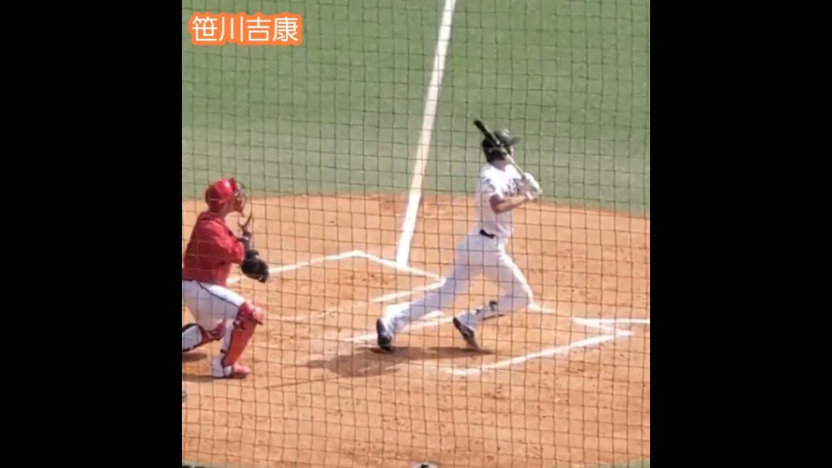 20240419　#笹川吉康　#打撃フォーム　#shorts　ﾊﾞｯﾃｨﾝｸﾞ打撃@ﾀﾏﾎｰﾑ ｽﾀｼﾞｱﾑ筑後［ｳｴｽﾀﾝ･ﾘｰｸﾞ 2軍戦］ﾀﾏｽﾀ筑後