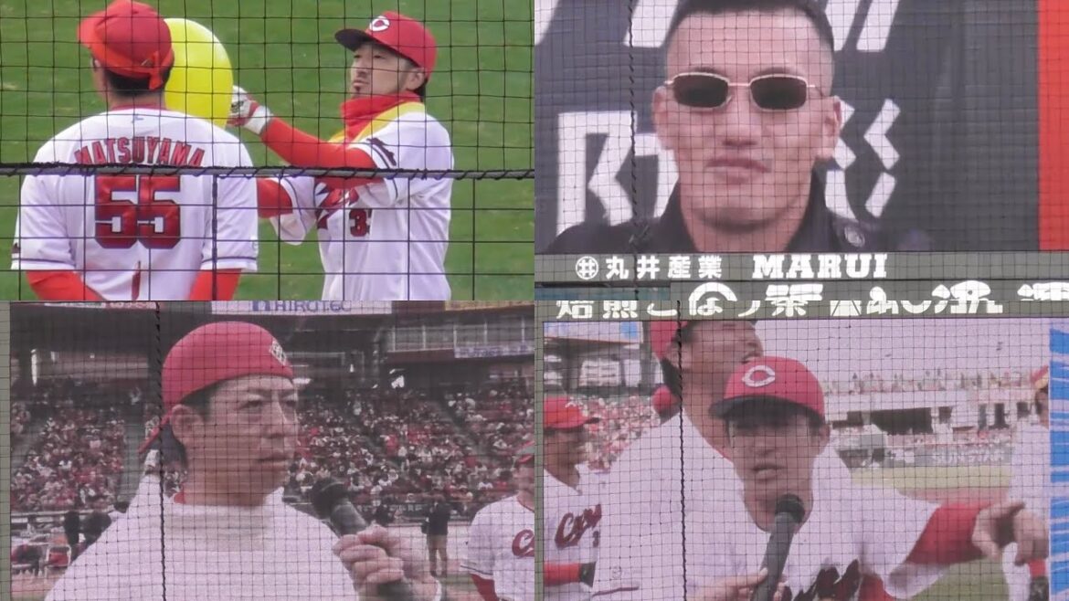 【しゃかりき・がむしゃら障害物リレー】爆笑の渦！矢野ヤンキー姿、菊池の松ちゃんいじり、野間と上本の絡み！広島カープファン感謝デー2024年11月23日