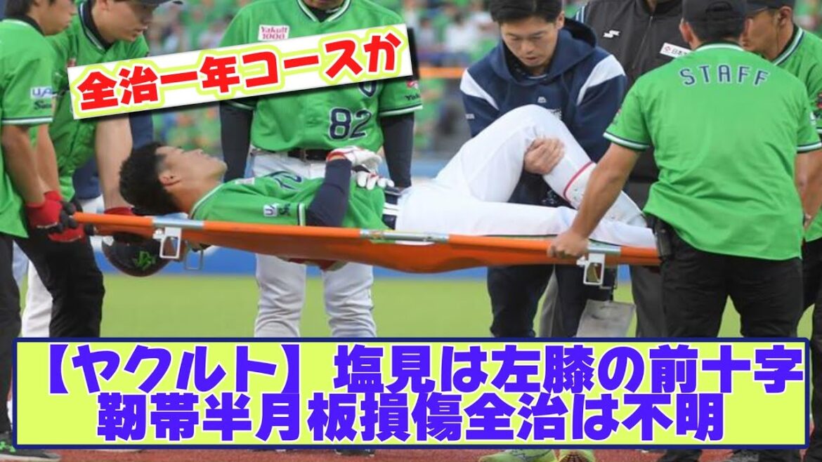 【ヤクルト】塩見は左膝の前十字靭帯損傷、半月板損傷、全治は不明【なんJ野球反応まとめ】