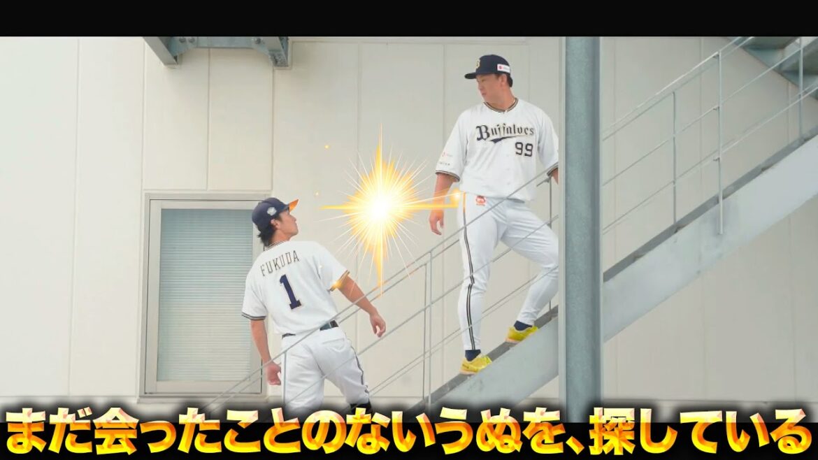 Pacific-League: 【昇昇昇天】ラオ福『もしかして…私たち…入れ替わってるーっ!?』 【昇昇昇天】ラオ福『もしかして…私たち…入れ替わってるーっ!?』