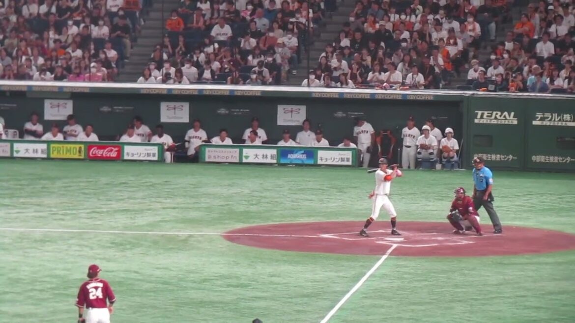 舟越秀虎フォアボールで喜ぶ2軍巨人ベンチたち（読売ジャイアンツ 対 楽天ゴールデンイーグルス 2024年9月22日）