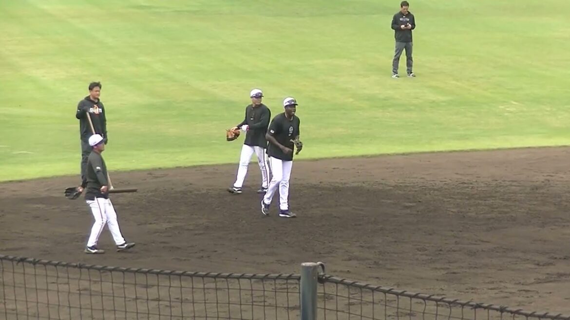 ジャイアンツ ティマや中山礼都 増田陸などの守備練習（2024年10月29日  読売ジャイアンツ秋季練習 ）