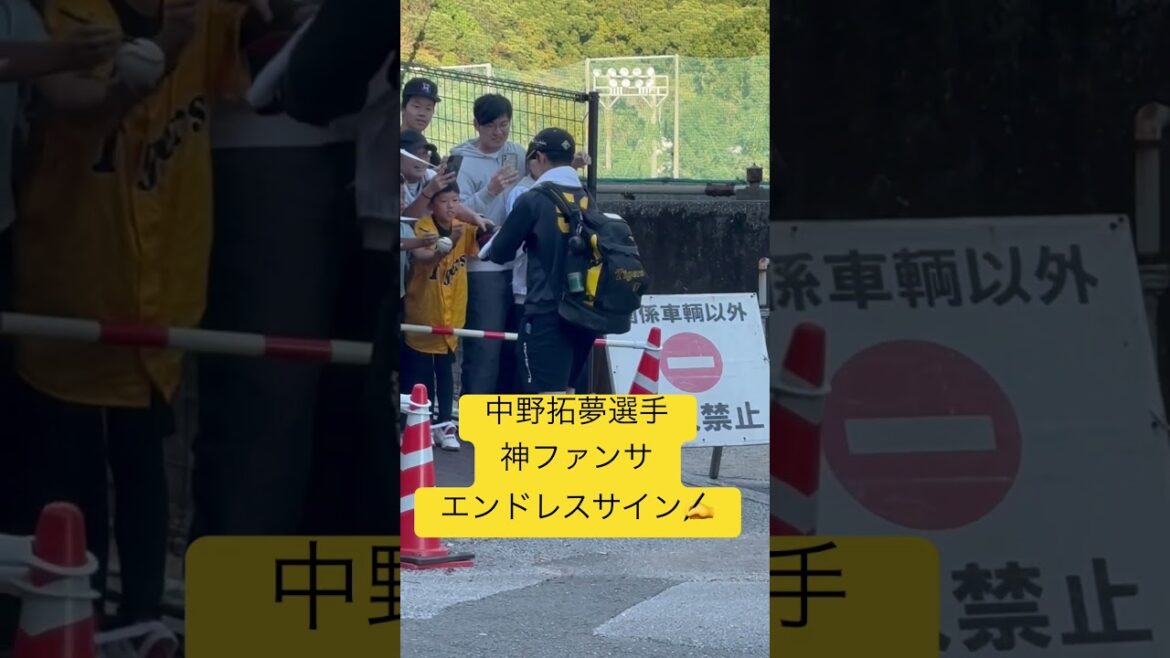 #中野拓夢 #阪神 #阪神タイガース　#阪神キャンプ #プロ野球 #野球 2024年11月14日