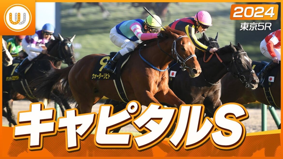 【レース映像】東京11R キャピタルステークス(L)|ウォーターリヒト(牡3・田辺裕信)|ウイニング競馬 【レース映像】東京11R キャピタルステークス(L)|ウォーターリヒト(牡3・田辺裕信)|ウイニング競馬