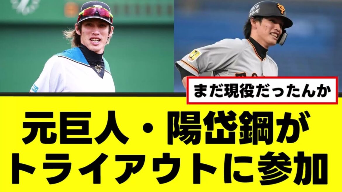 【陽岱鋼】元巨人・陽岱鋼がトライアウトに参加
