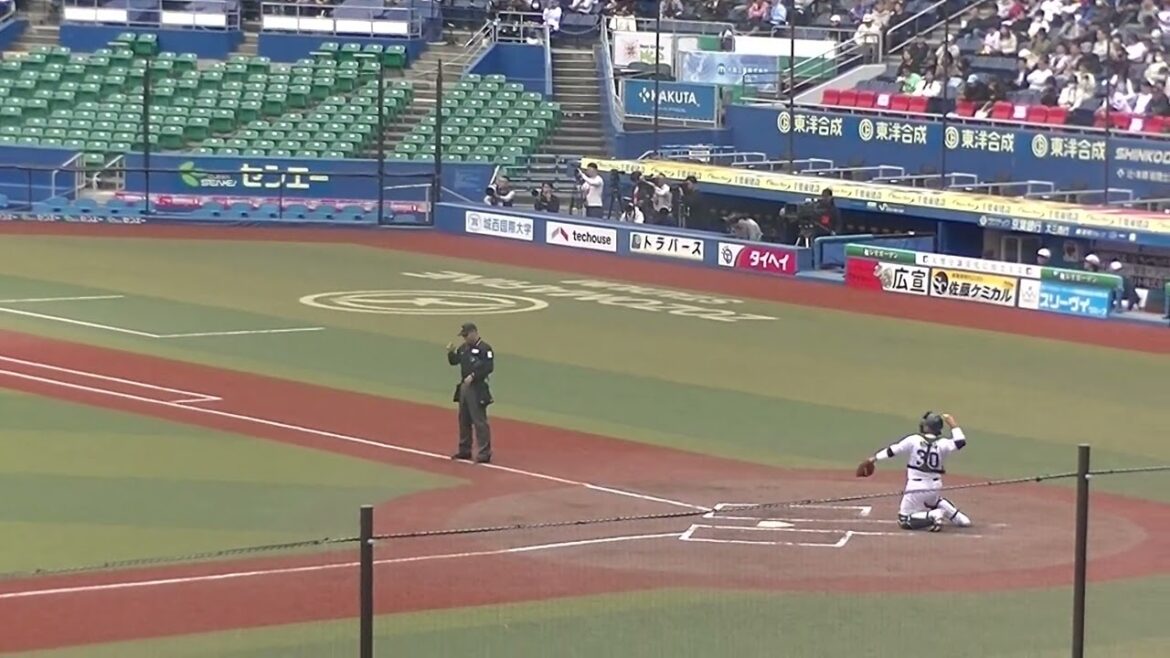 【合同トライアウト】カープ内間拓馬の投球練習〜ジャイアンツ前田研輝をショートゴロに打ち取る 2024年プロ野球12球団合同トライアウト11月14日