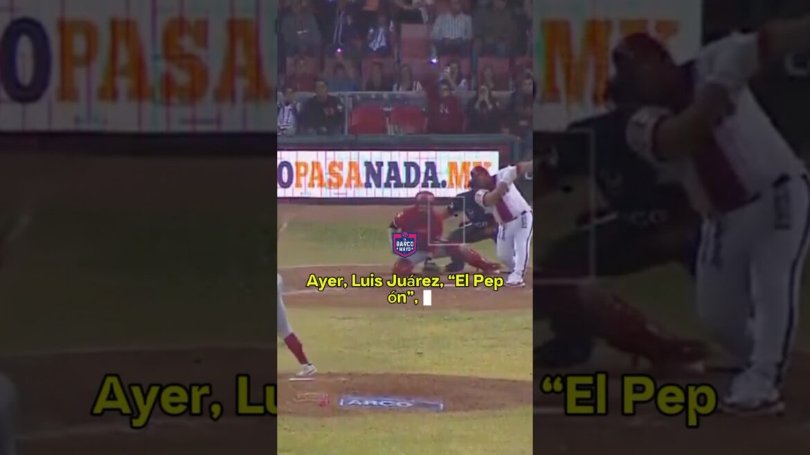 Las 3️⃣ cosas que debes saber para el juego de hoy, Mayos busca barrer a Venados #MayosDeNavojoa