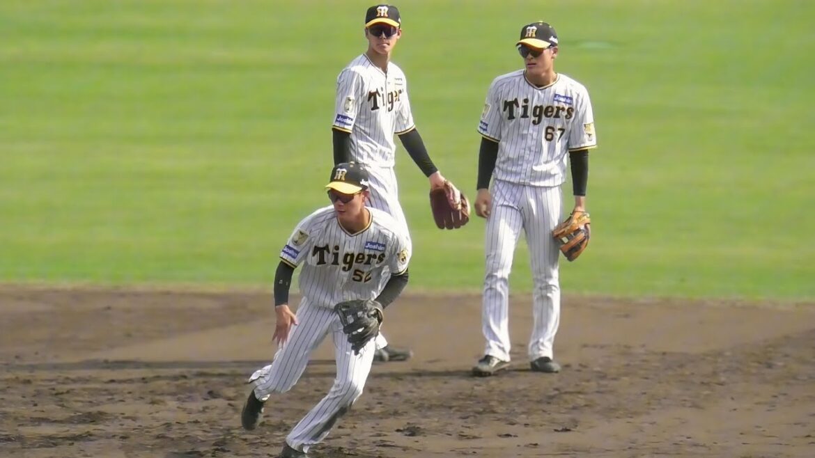 【遊撃手レギュラー争い】内心闘志メラメラ？！小幡・髙寺・山田の若手3人衆がショートで守備練習【阪神秋季キャンプ】