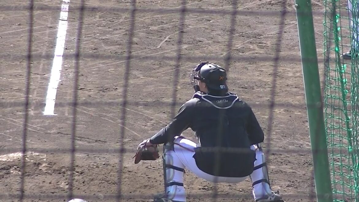 巨人捕手陣スローイング 山瀬慎之助 岸田行倫 郡拓也（2024年11月7日  読売ジャイアンツ秋季練習 ）