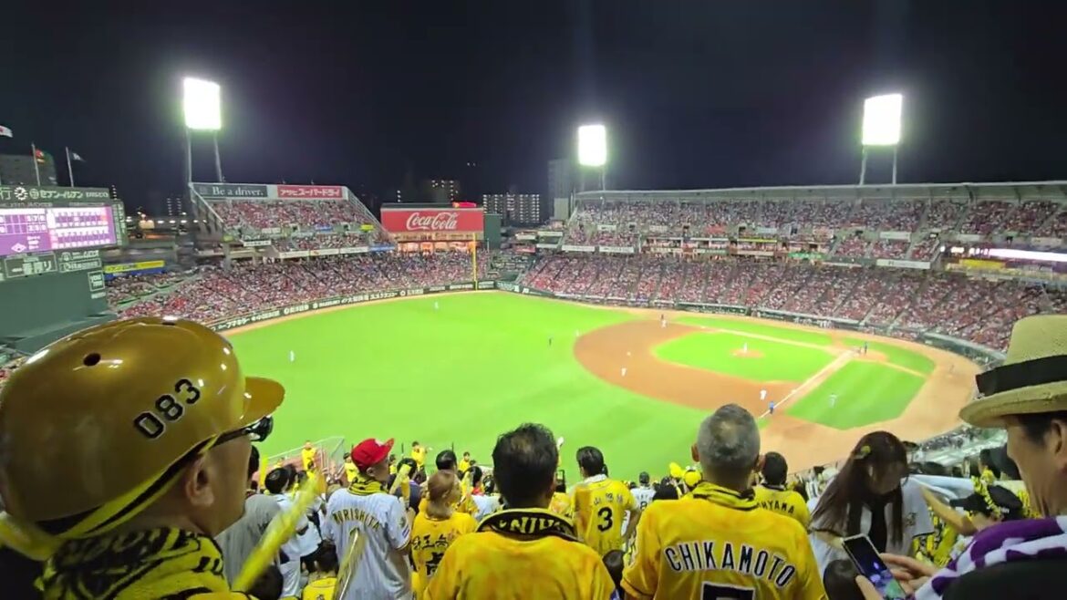 2024.8.25 阪神タイガース渡辺諒応援歌