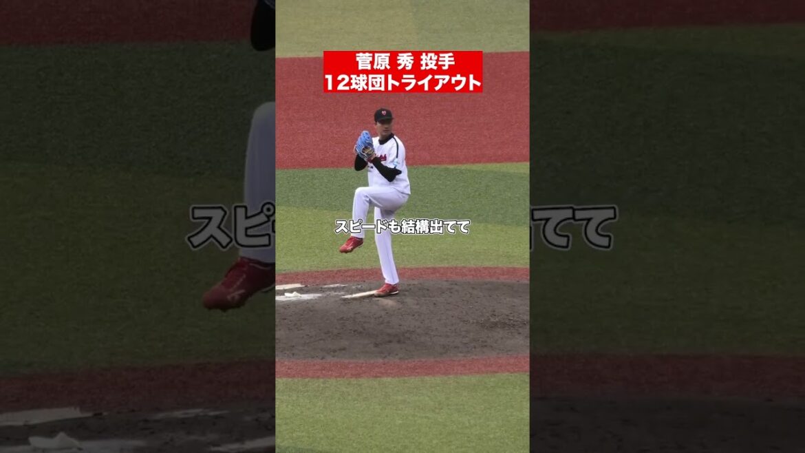 １２球団合同トライアウトの感想は？#大阪ゼロロクブルズ #プロ野球 #楽天 #菅原秀 #感想 #shorts