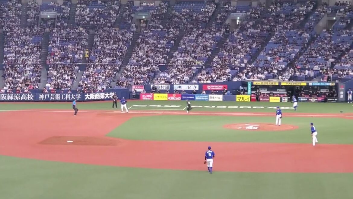 20240602 動き回る元気♪【西野真弘 応援歌】11回ウラ オリックス・バファローズ@京セラドーム大阪・レフト外野下段 日本生命セ・パ交流戦 20240602 動き回る元気♪【西野真弘 応援歌】11回ウラ オリックス・バファローズ@京セラドーム大阪・レフト外野下段 日本生命セ・パ交流戦