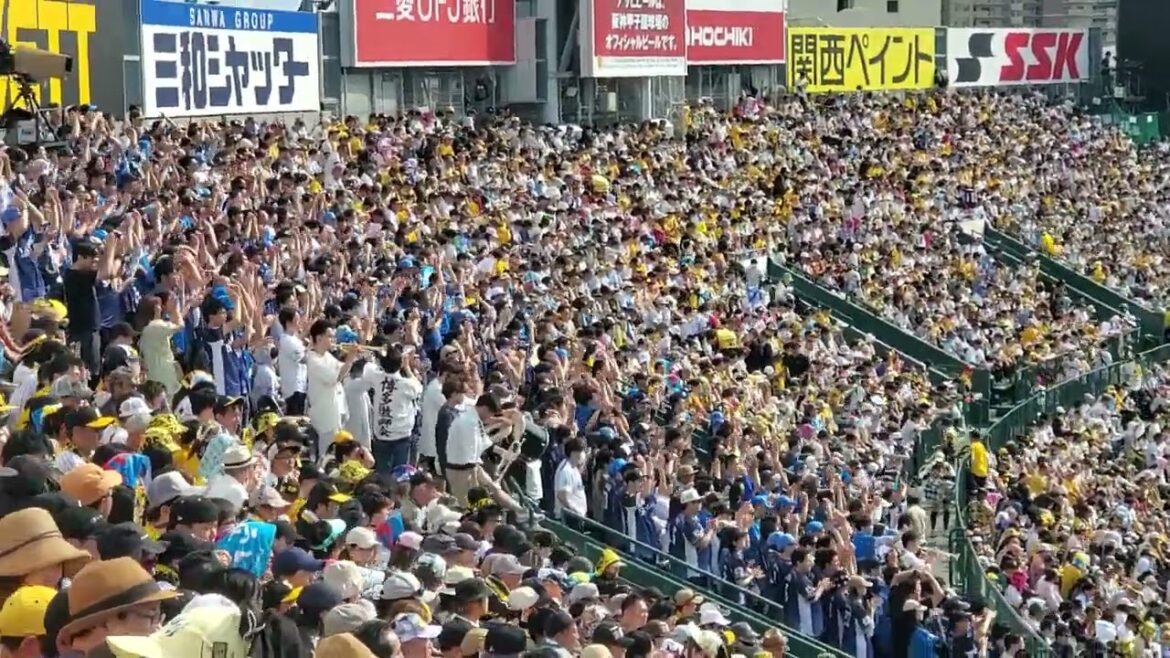 20240608　吠えろﾊｾ♪【長谷川信哉 応援歌】7回表　埼玉西武ﾗｲｵﾝｽﾞ@阪神甲子園球場･ﾚﾌﾄ外野 日本生命ｾ･ﾊﾟ交流戦