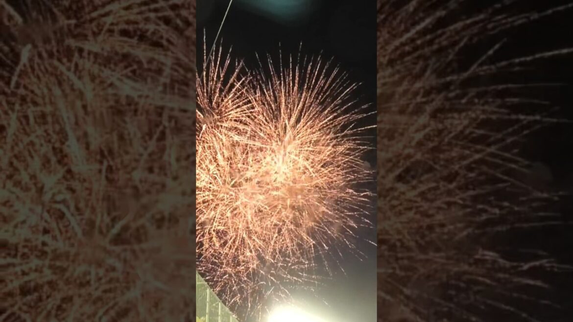 【2024シーズン】みんなで花火 #bs2024 #seibulions #オリックスバファローズ #埼玉西武ライオンズ #西川龍馬 #頓宮裕真 #石川亮 #杉本裕太郎 #来田涼斗 #田村伊知郎