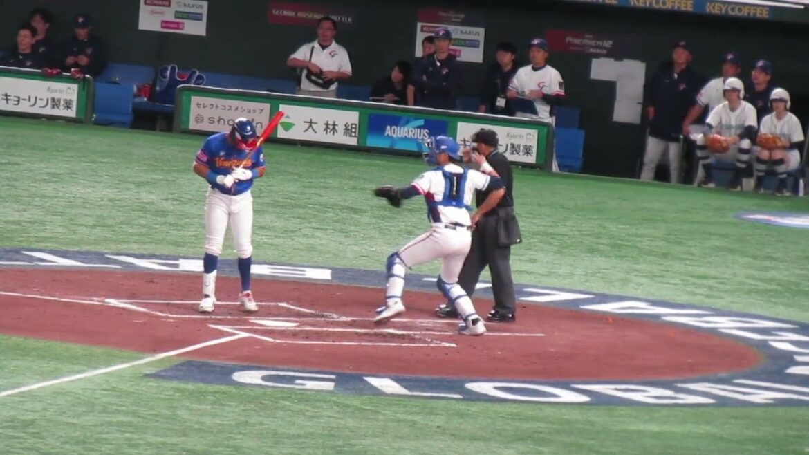 ベネズエラ R フローレスのバッティングフォーム＜プレミア12 台湾 対ベネズエラ 2024年11月21日＞