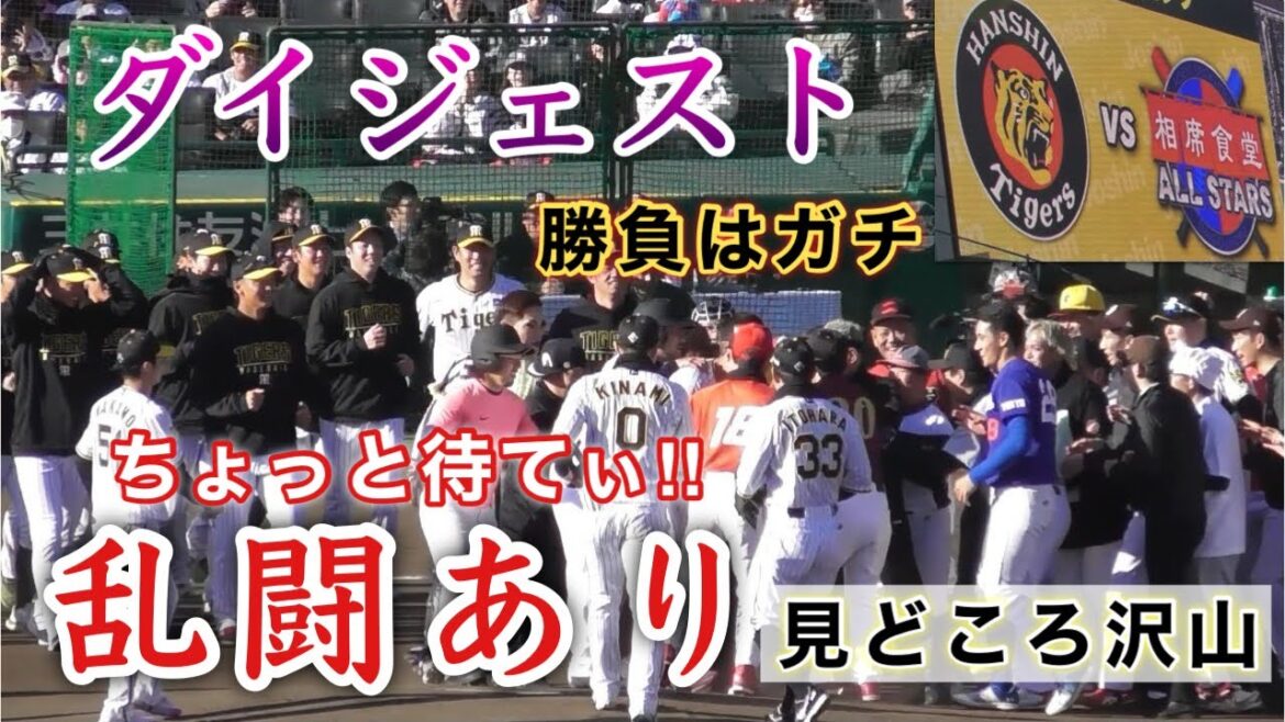 『相席食堂vs阪神タイガース ガチなダイジェスト』ちょっと待てぃ‼︎ 阪神タイガースファン感謝デー2024