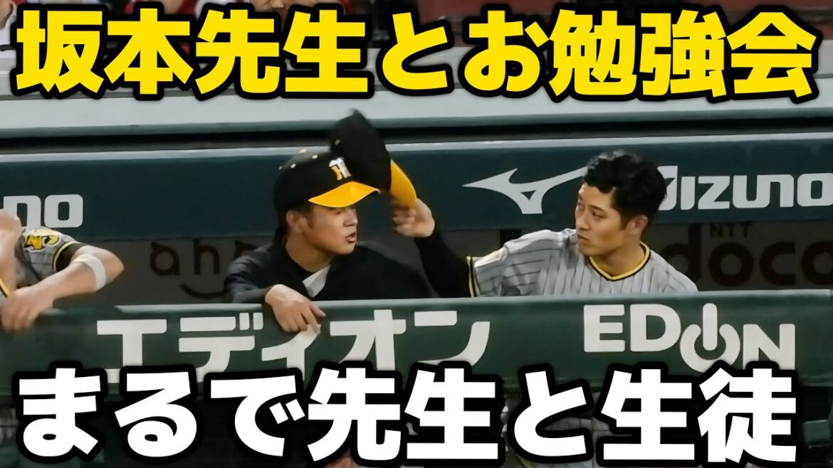【先生からお叱り？！】坂本から帽子で叩かれる髙橋遥人。降板後、坂本と勉強兼ねたような会話をする2024.8.23