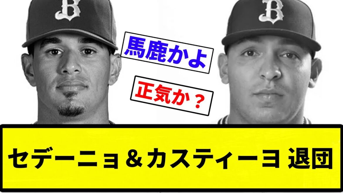 【急にやる気なくすやん】セデーニョ＆カスティーヨ 退団【プロ野球反応集】【プロ野球反応集】