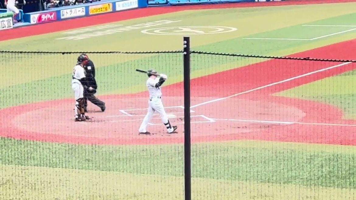 12球団合同トライアウト シート打撃『投手: 元広島・藤井黎來  打者: 元ロッテ・菅野剛士 & 元ライオンズ・鈴木将平 』