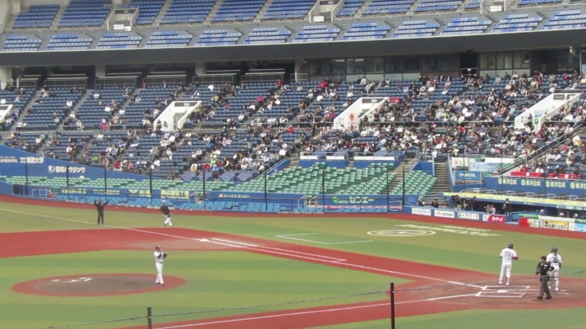 トライアウト〜ヤクルト尾仲祐哉が西武 高木渉を三振（2024年11月14日 プロ野球合同トライアウト ）