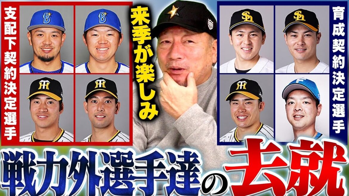 【戦力外選手の去就】「この選手はこのチームに適している‼︎」今季プロ野球戦力外選手の現状の去就を語ります！