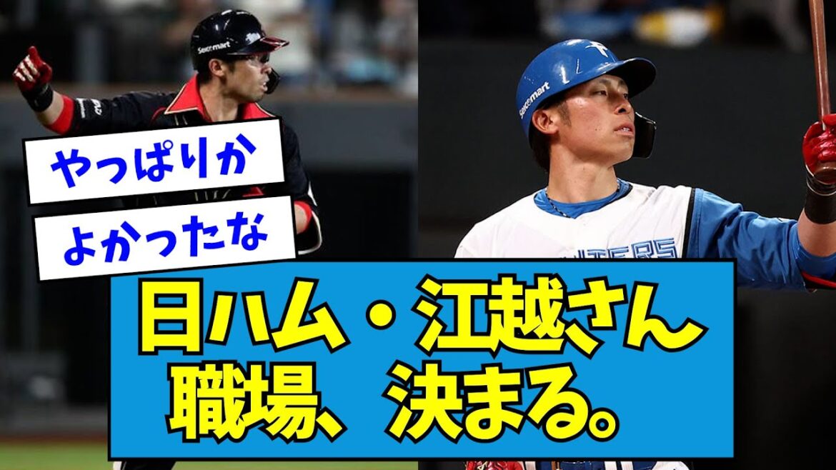 【朗報】日ハム・江越さん、職場が決まる。【なんJ反応】