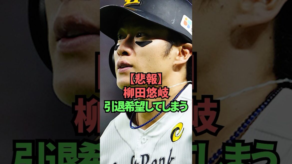 【悲報】柳田悠岐引退希望してしまう