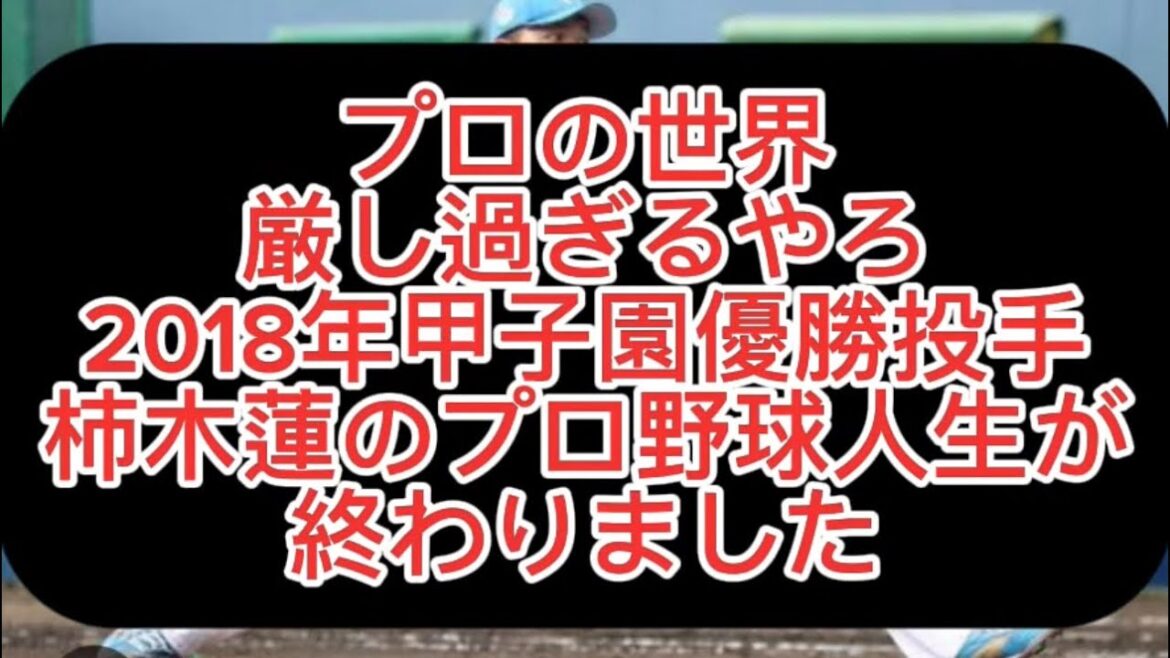 【野球界の闇】プロの世界厳し過ぎるやろ北海道日本ハムファイターズ柿木蓮がクビになりました#野球 #高校野球 #甲子園 【野球界の闇】プロの世界厳し過ぎるやろ北海道日本ハムファイターズ柿木蓮がクビになりました#野球 #高校野球 #甲子園