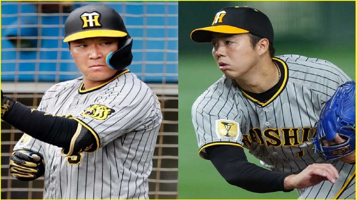 ⚾投打の柱が流出か、5人戦力外　カギ握る助っ人野手、藤川体制でV奪回へ…阪神注目の補強🧢