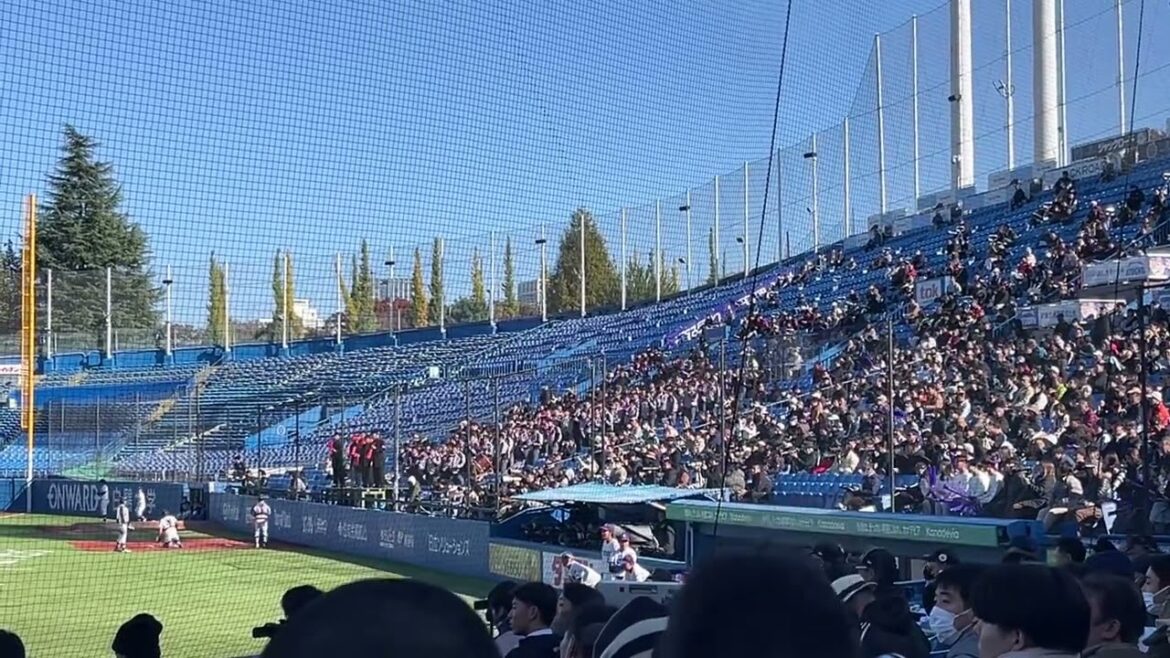 天理大 外崎修太応援歌