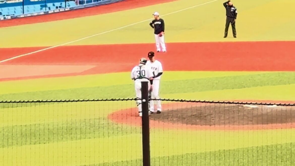 12球団合同トライアウト シート打撃『投手: 元DeNA・高田琢登 打者: 元巨人・菊田拡和 & 元巨人・前田研輝 』 12球団合同トライアウト シート打撃『投手: 元DeNA・高田琢登 打者: 元巨人・菊田拡和 & 元巨人・前田研輝 』