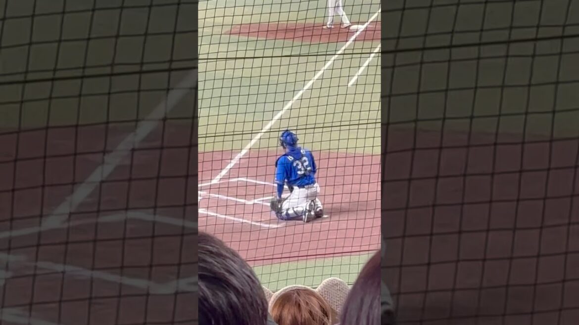 中日ドラゴンズ ファンフェスタ 2024 野手チーム キャッチャー役 石垣雅海