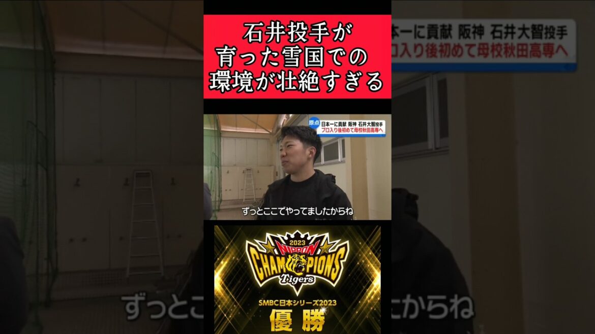 【阪神】"石井大智"壮絶すぎる環境で育つ！ #阪神 #阪神タイガース #石井大智 #shorts