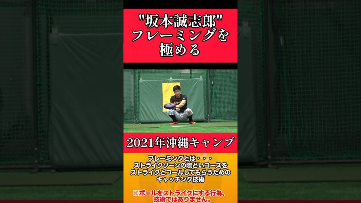 【阪神】"坂本誠志郎"フレーミングを極める！ #阪神 #阪神タイガース #坂本誠志郎 #shorts