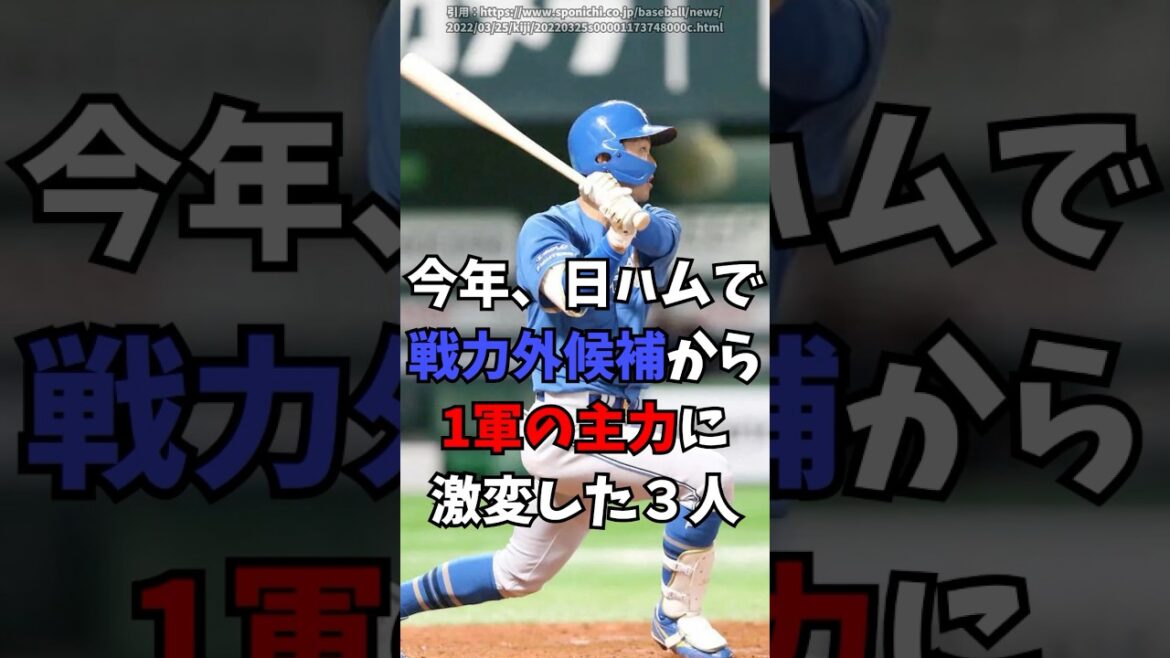 今年、日本ハムで戦力外間近から主力に激変した選手　#北海道日本ハムファイターズ　#新庄監督