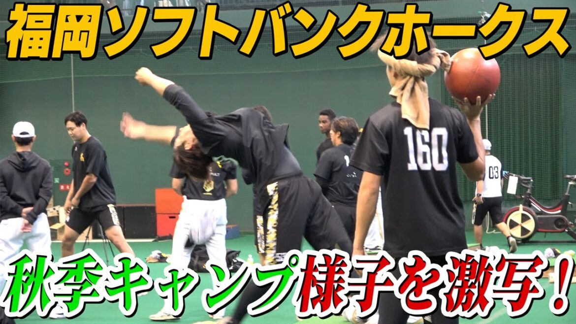 福岡ソフトバンクホークス選手秋季キャンプの様子を覗き見！