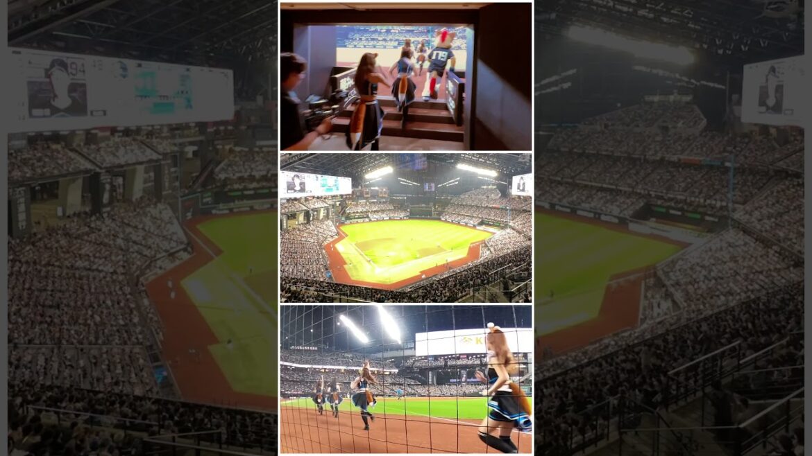 GO!ファイターズガール「パーソルカメラ」パ・リーグ裏側密着中！ #shorts