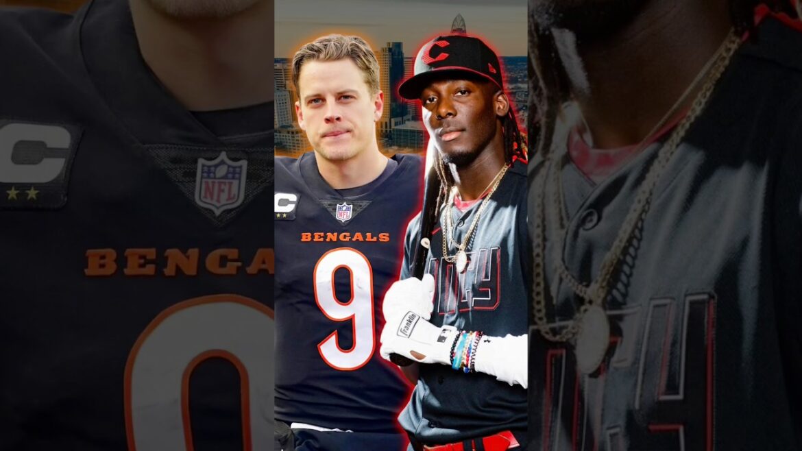 Better Chance of Winning Championship: Cincinnati Bengals or Cincinnati Reds?