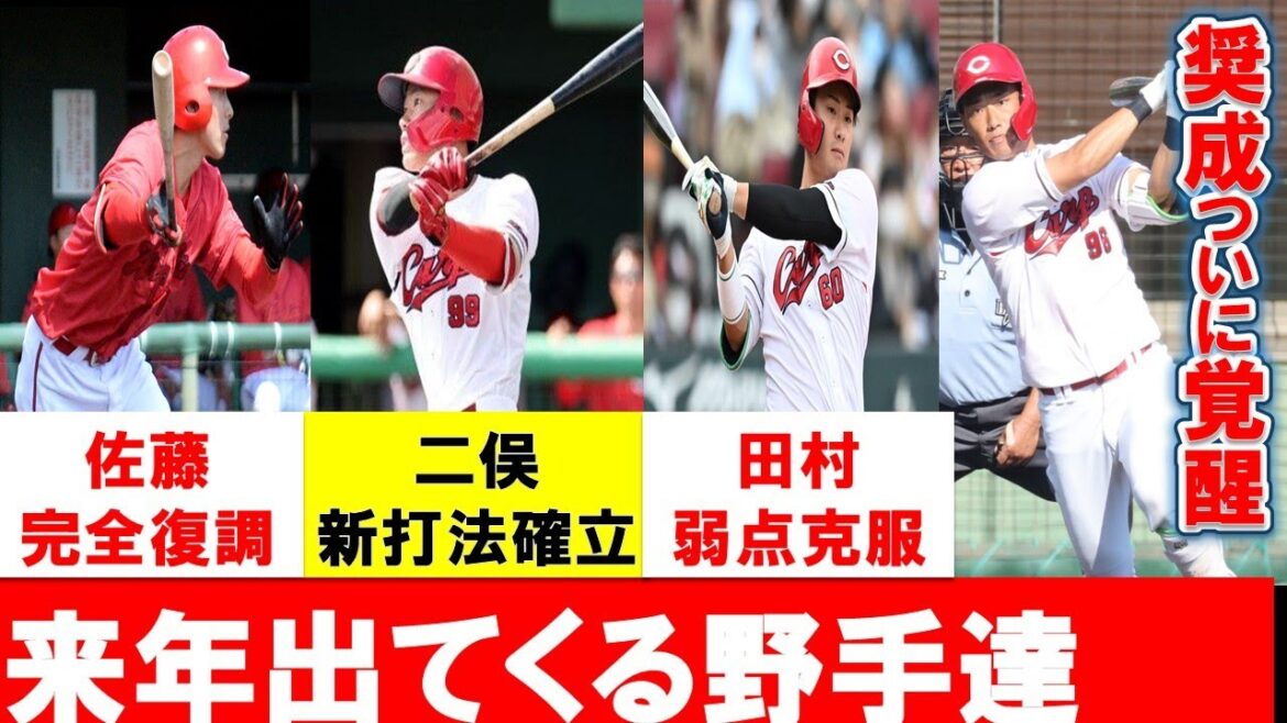 【カープ秋季Cまとめ】来季1軍定着する野手5選手！秋季キャンプで来季の活躍を確信！？【広島東洋カープ】